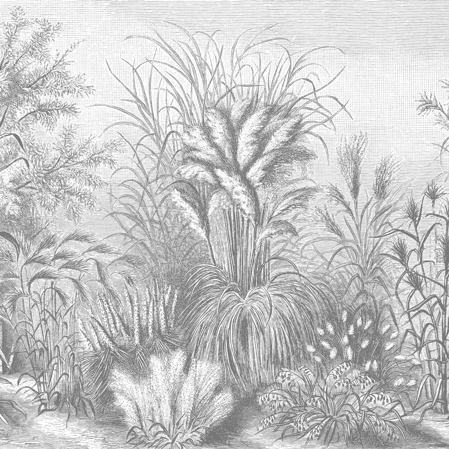 Fototapete Holzschnitt Gräser-Zeichnung - Image 2