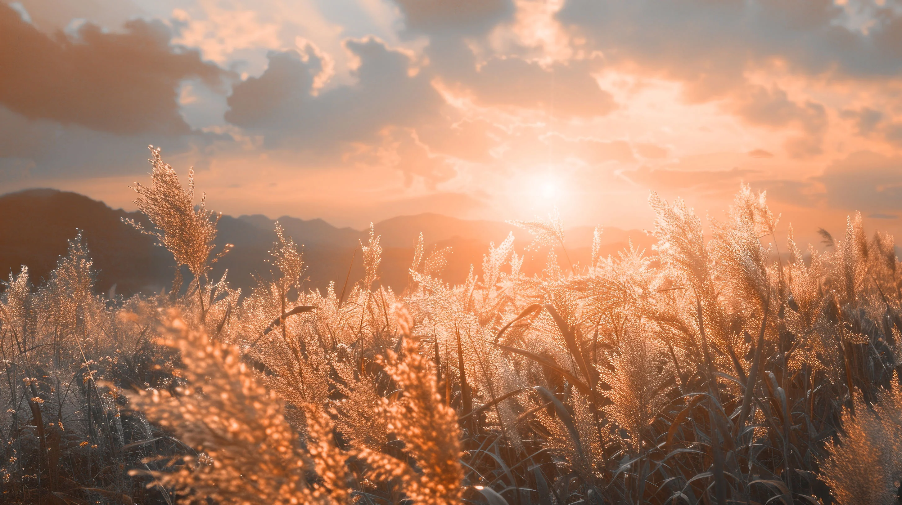 Fototapete Sunset - Image 6