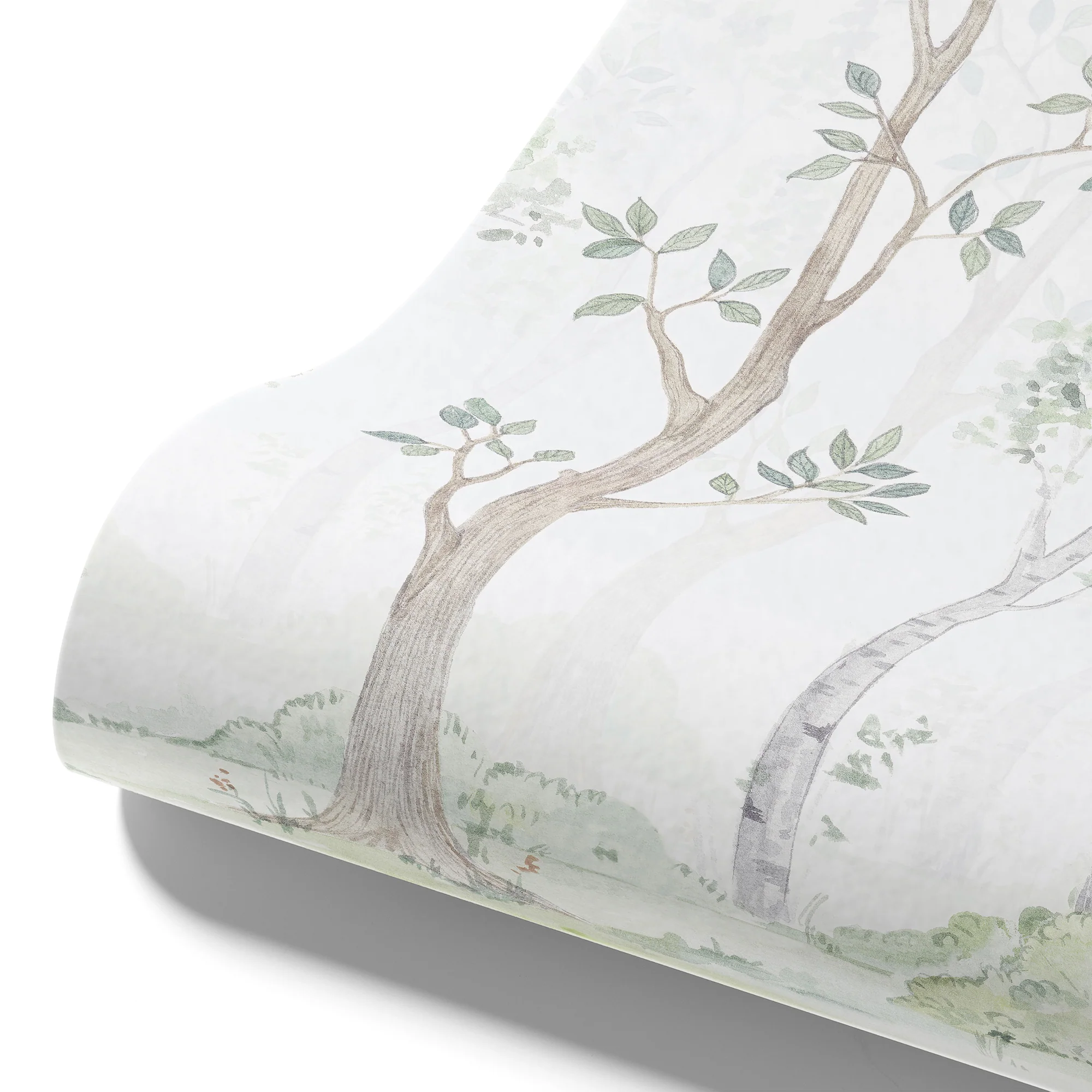 Kindertapete Birken­wald Aquarell - Image 5